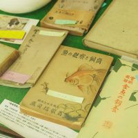 日本最古の金魚飼育本『金魚養玩草（きんぎょそだてぐさ）』