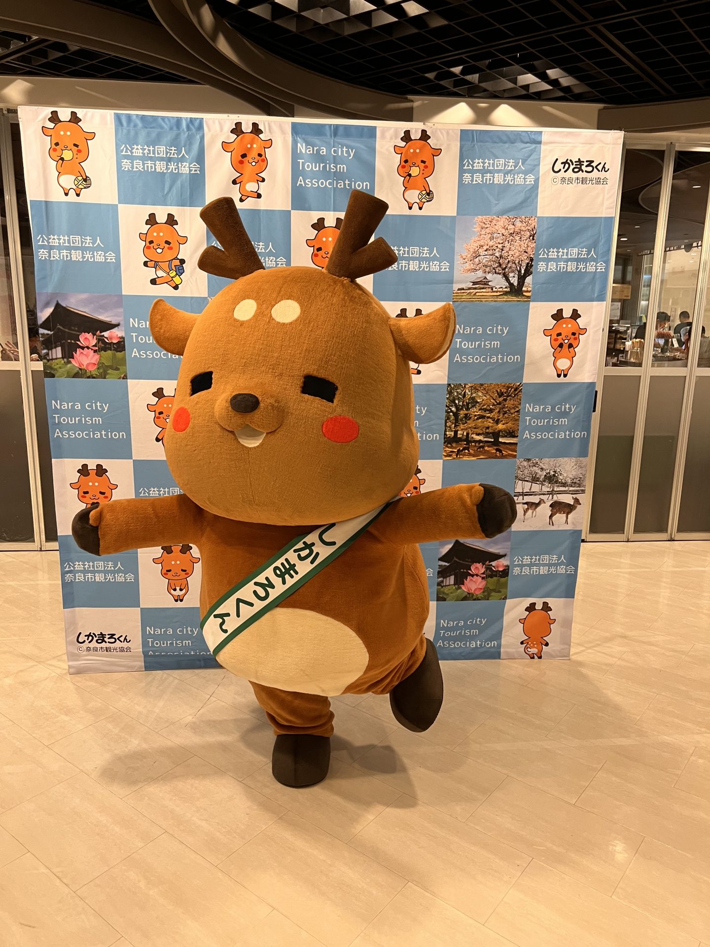 しかまろくんイベントでの撮影会