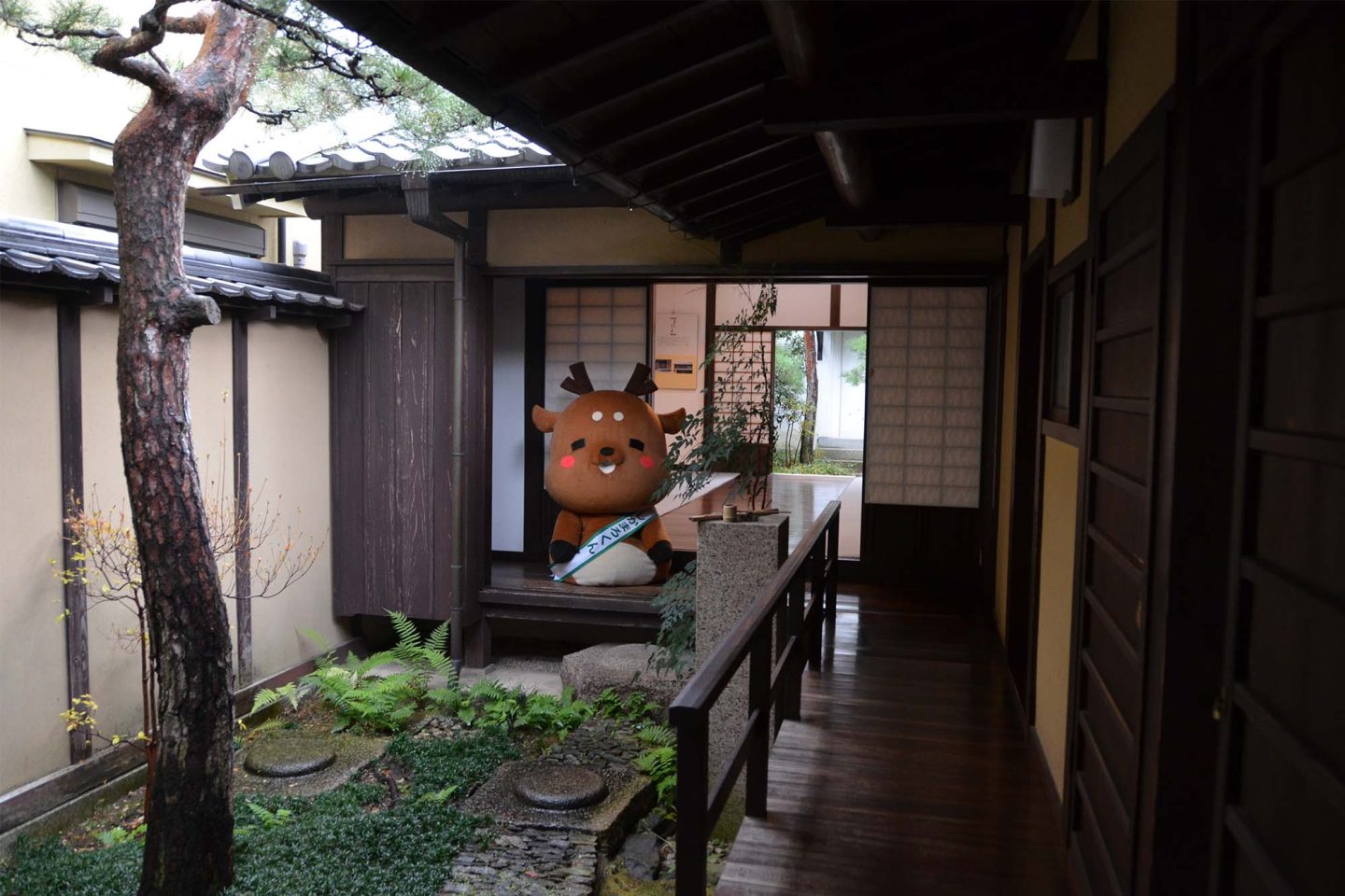 「ならまち」の町家でくつろぐしかまろくん