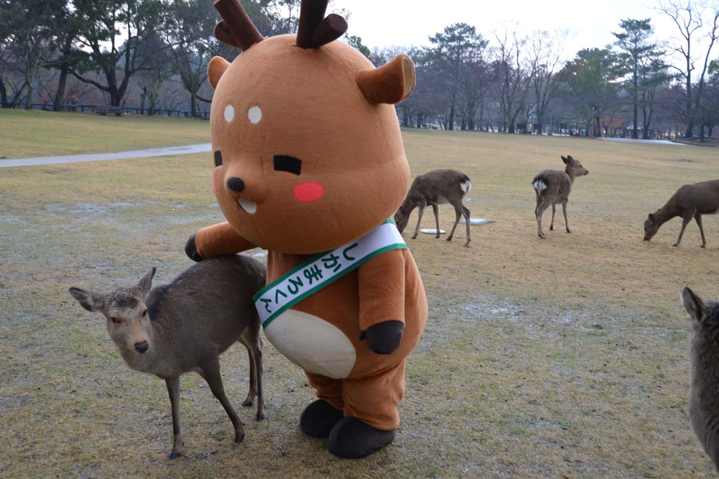 お友達（鹿）と遊ぶしかまろくん