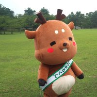 芝生に立つしかまろくん