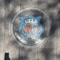 大和郡山の街中にあるカラーマンホール