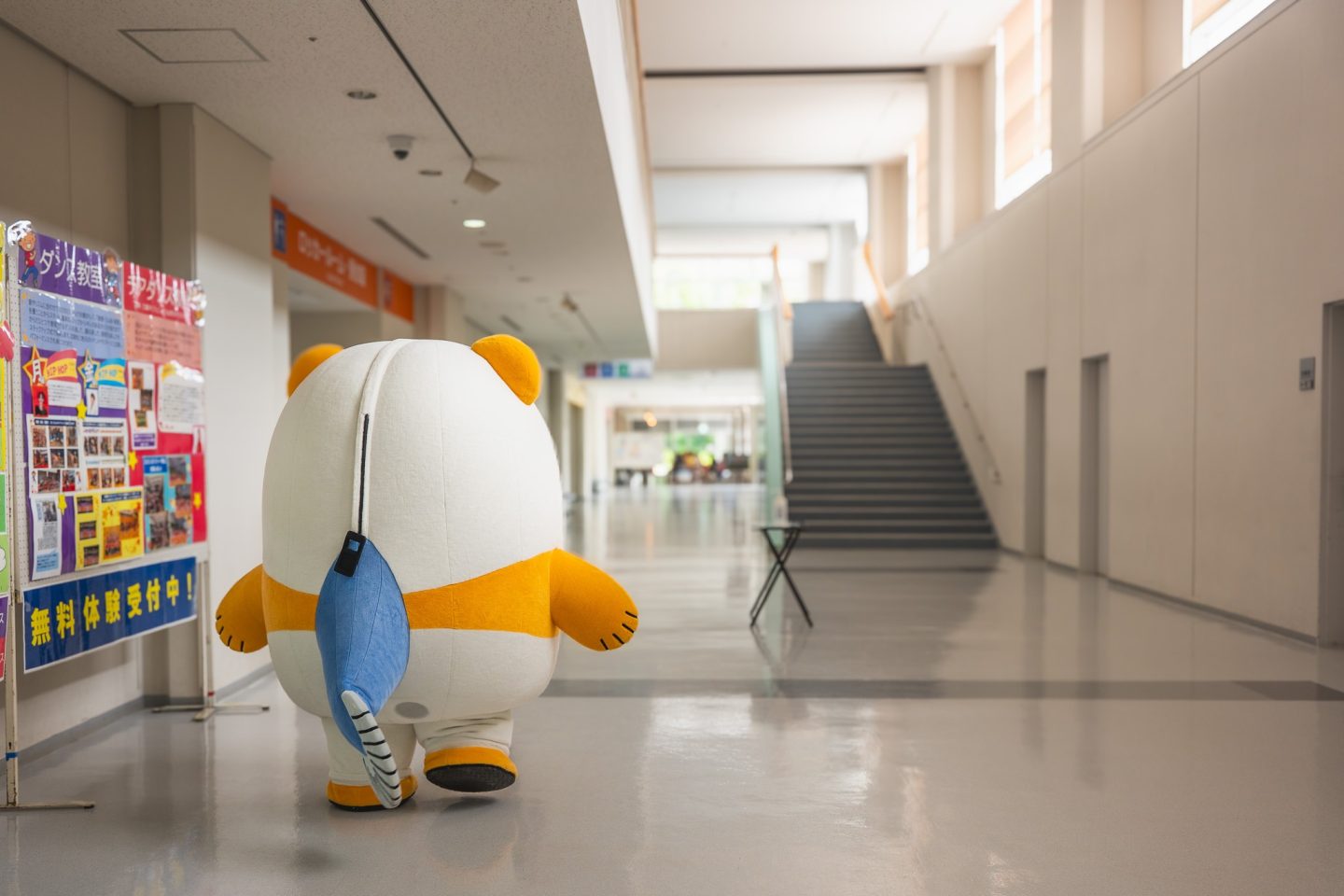 うなぽんのうしろ姿