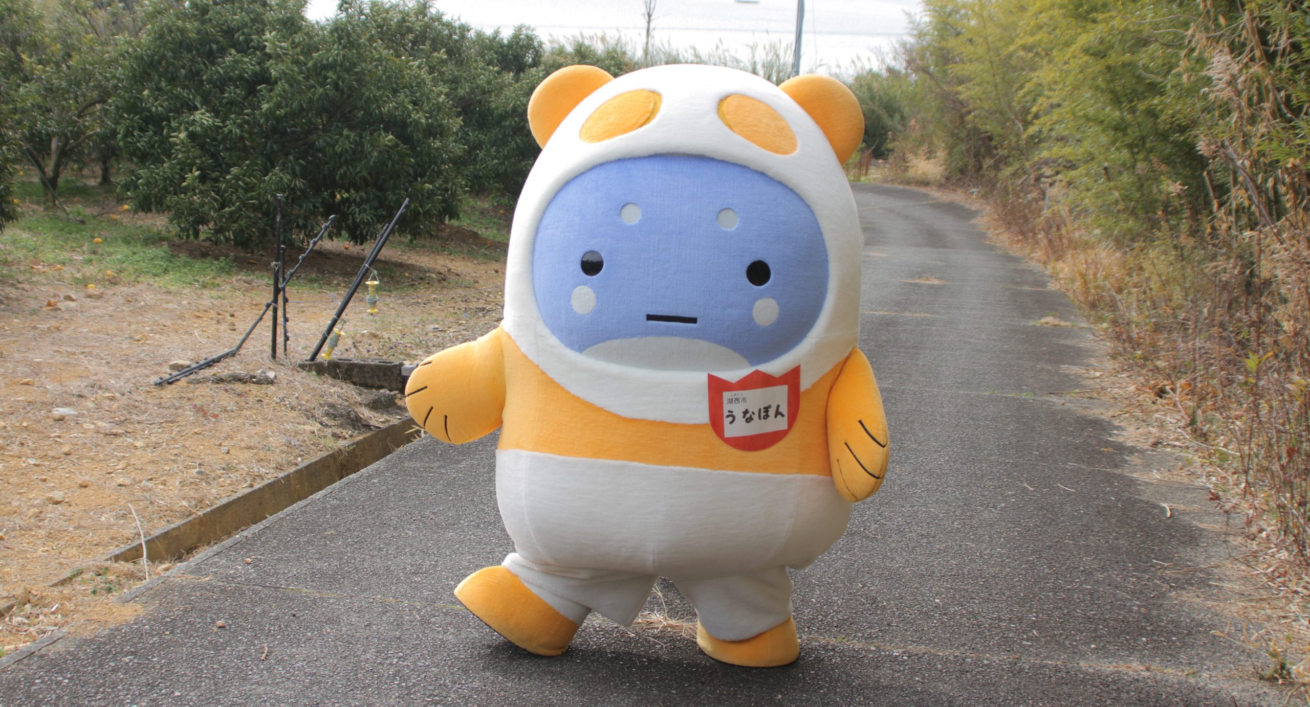 パンダのふりをした、うなぎのキャラクター!?静岡県湖西市「うなぽん」のユニークな日常