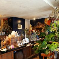 静岡県磐田市の花店〈nest〉の店内